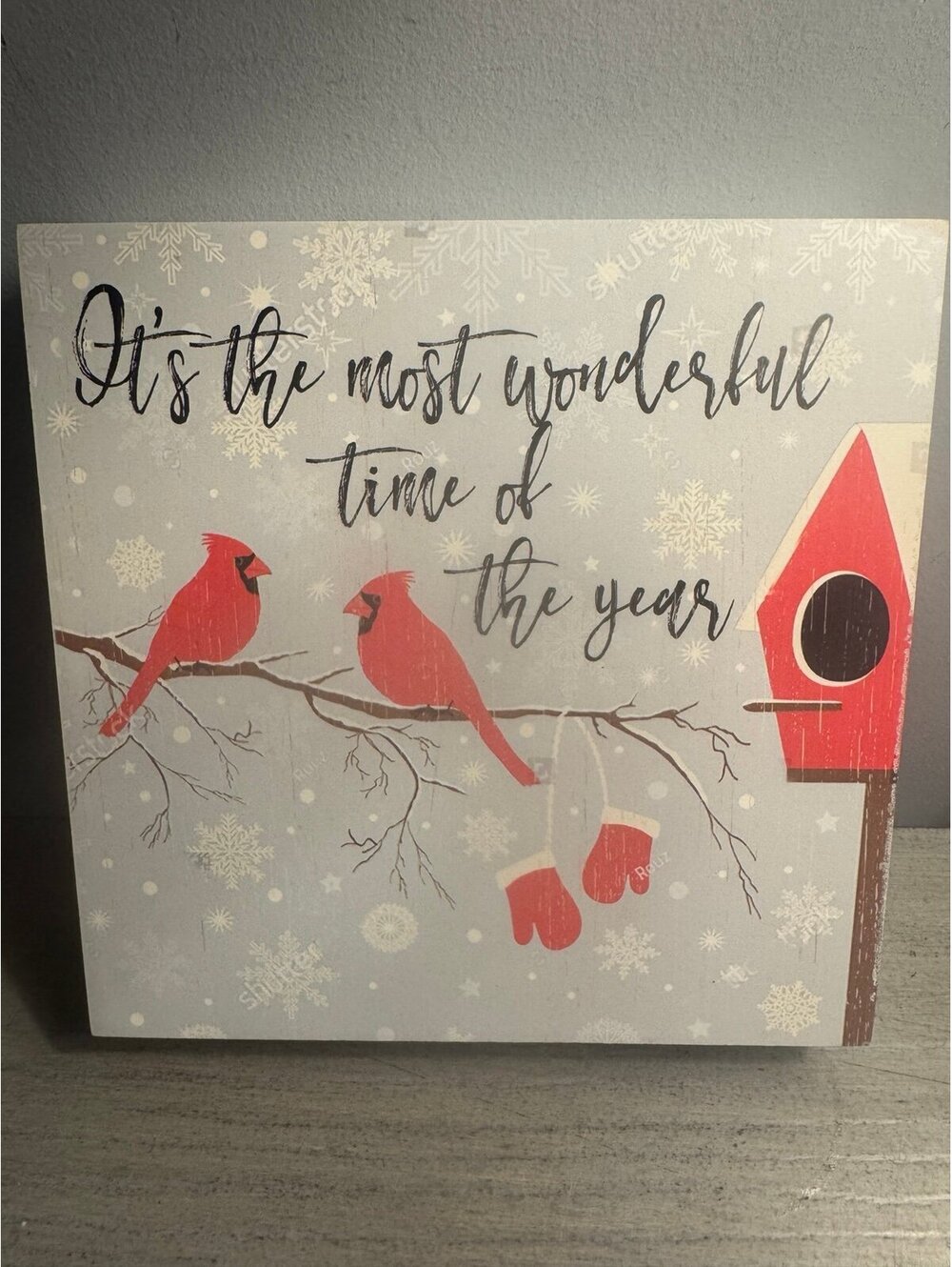 Christmas Cardinal Birdhouse Wooden Shadow Box Wall Decor “It’s the Most Wonderf